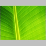 Vista Wallpapers 036.JPG